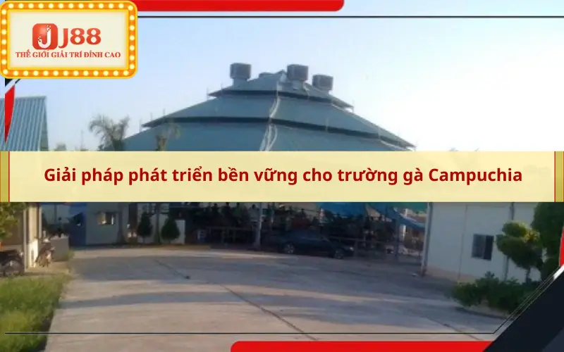 Giải pháp phát triển bền vững cho trường gà Campuchia