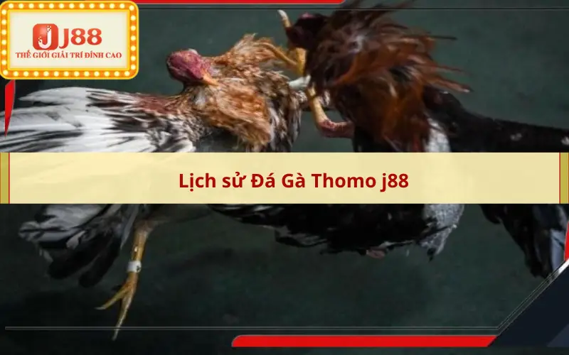 Lịch sử Đá Gà Thomo j88