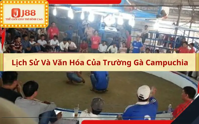 Lịch Sử Và Văn Hóa Của Trường Gà Campuchia