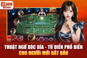 Thuật Ngữ Xóc Đĩa - Từ Điển Phổ Biến Cho Người Mới Bắt Đầu